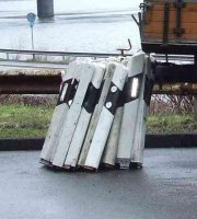 Umwelttag 2010 #1